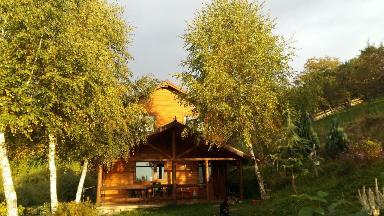 Willa Casa Zara Bran  Zewnętrze zdjęcie